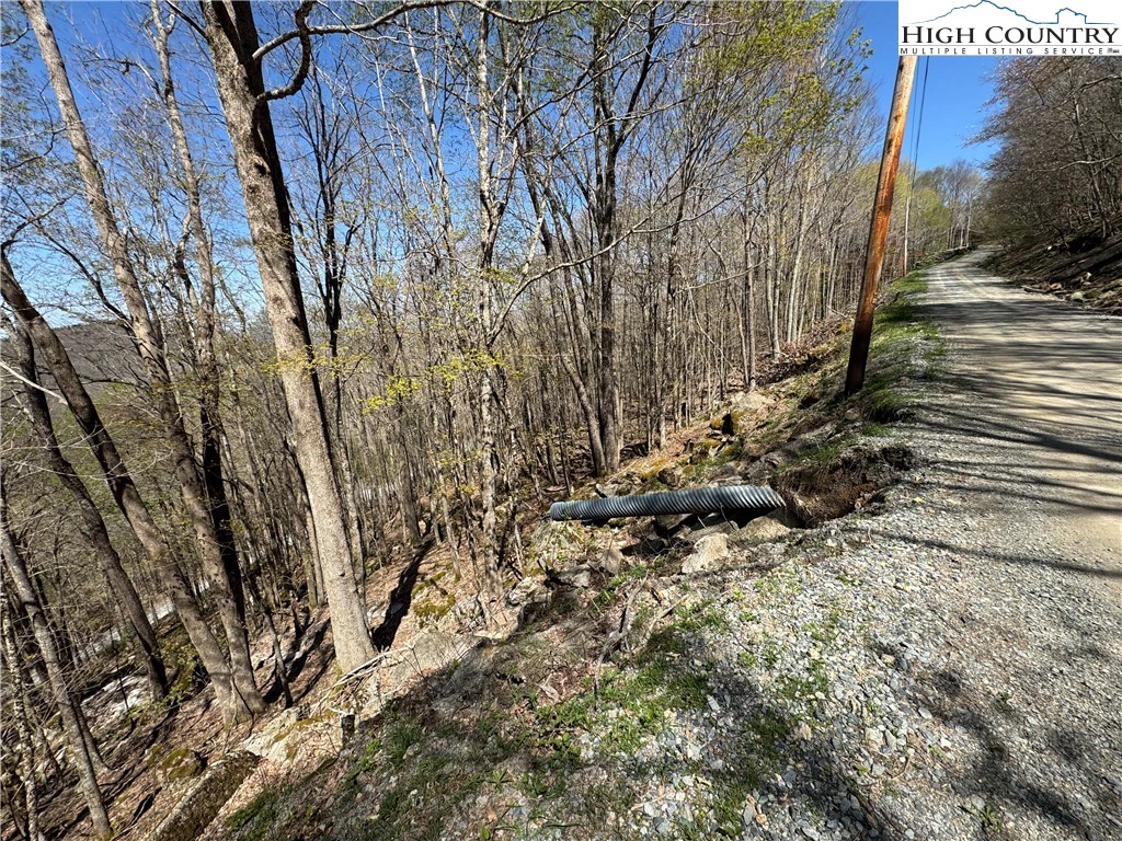 Image number 3 for the current listing