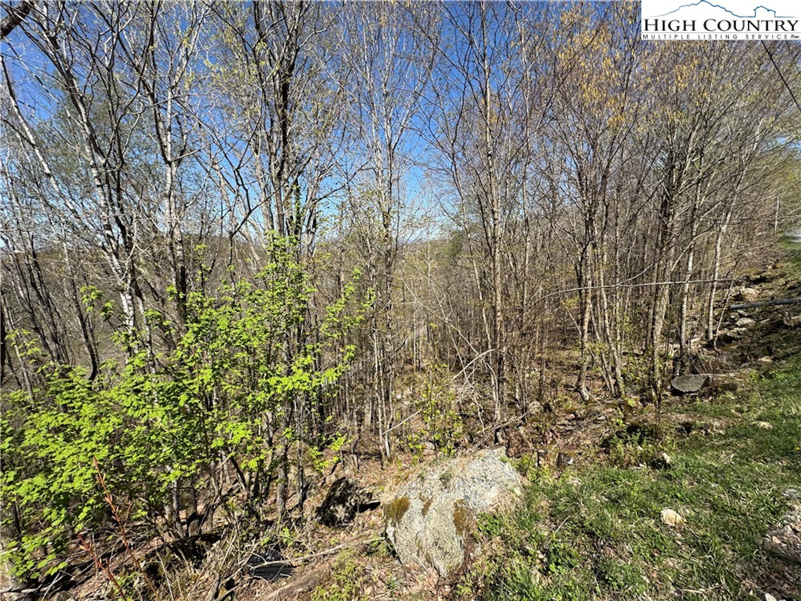 Image number 1 for the current listing