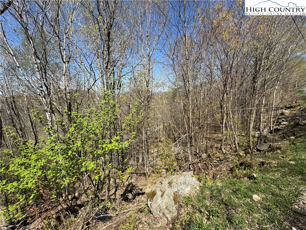 Image number 1 for the current listing