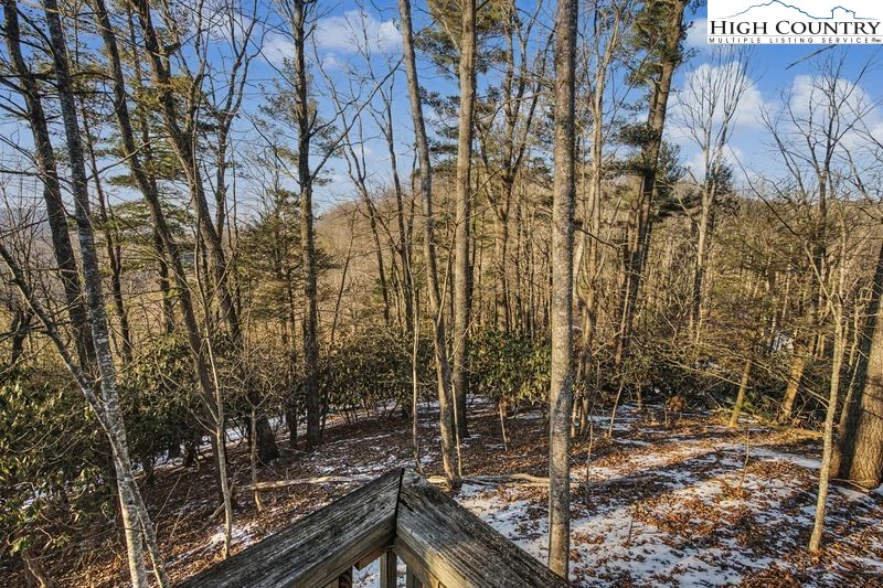 Image number 4 for the current listing