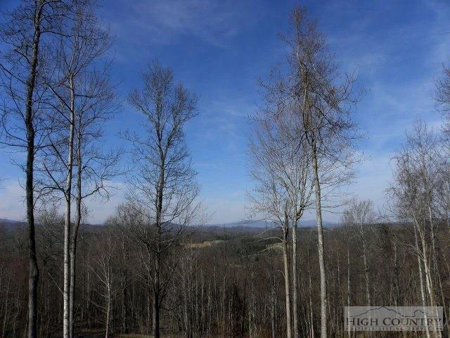 Image number 16 for the current listing