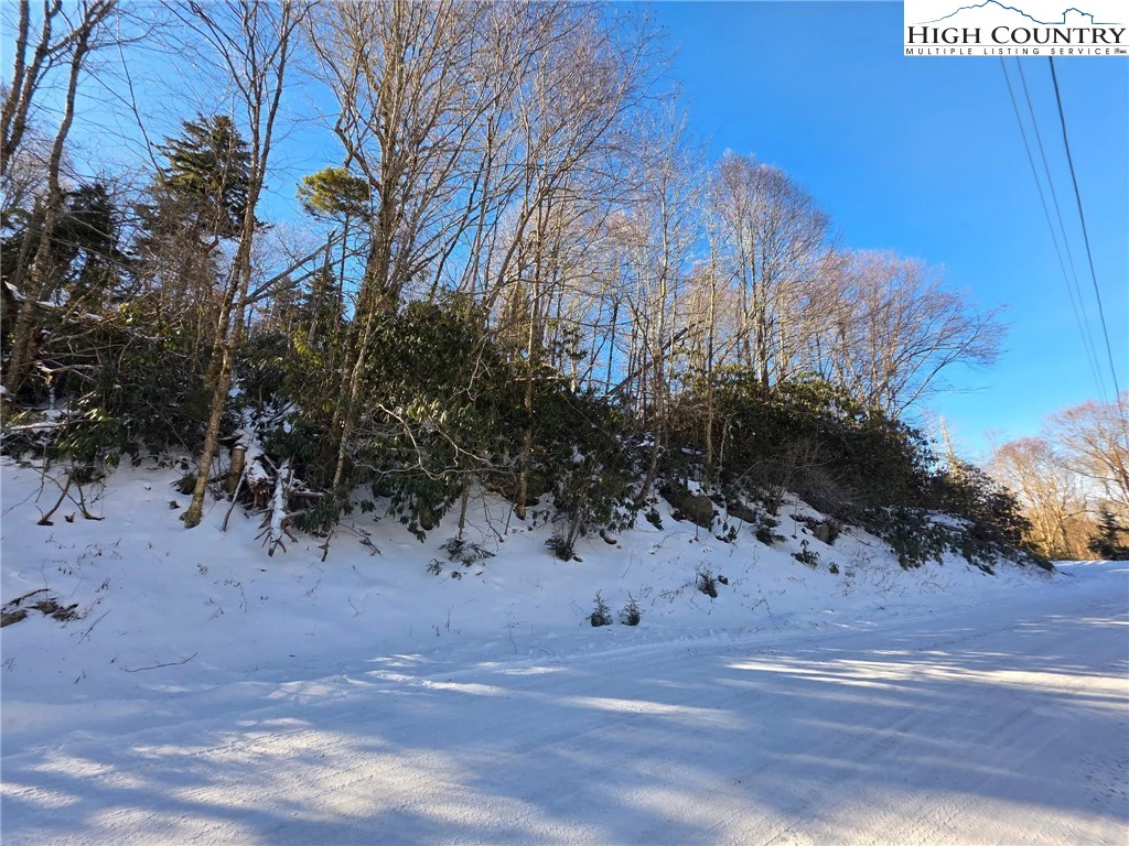 Image number 1 for the current listing