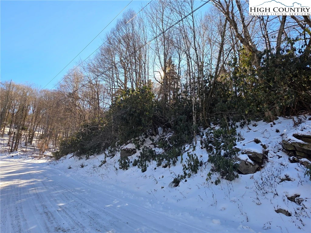 Image number 3 for the current listing