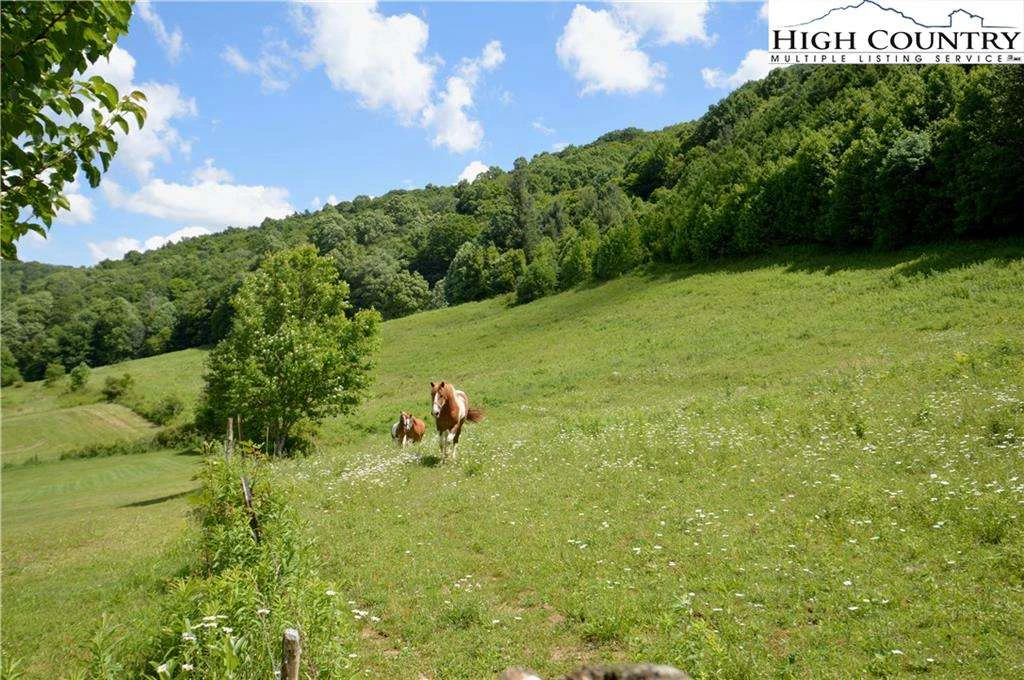Image number 1 for the current listing