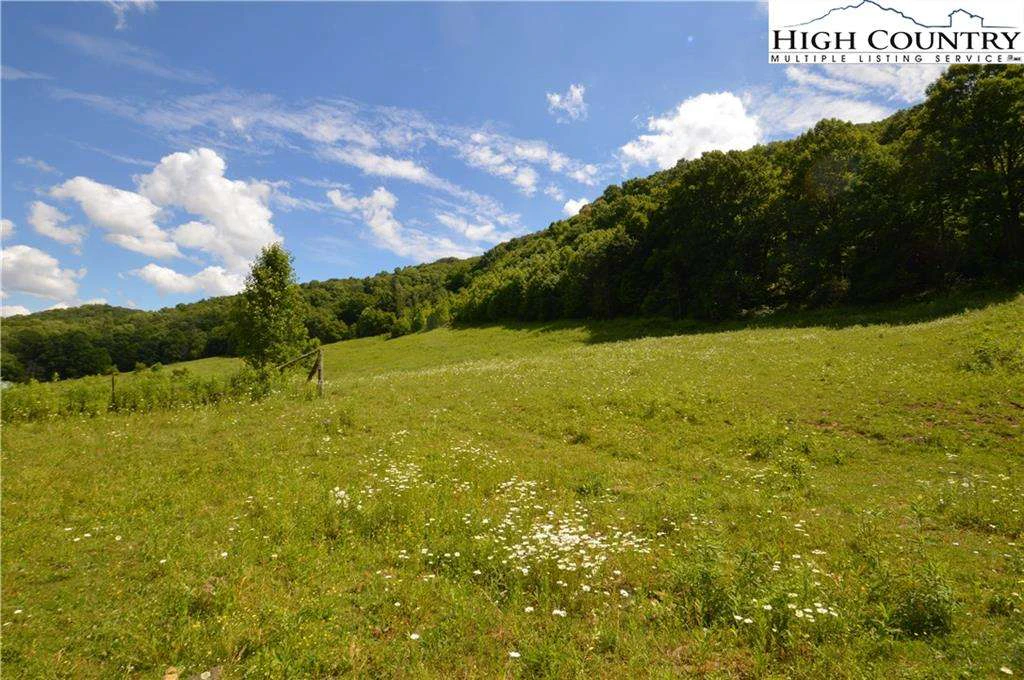 Image number 2 for the current listing