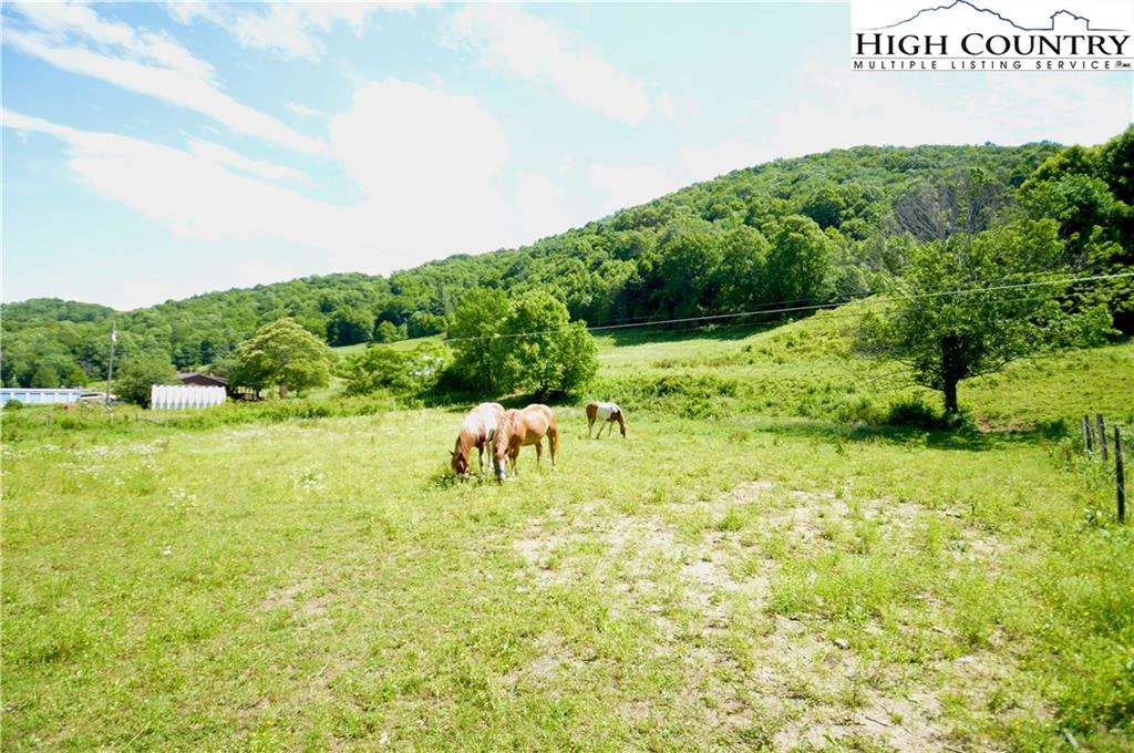 Image number 12 for the current listing