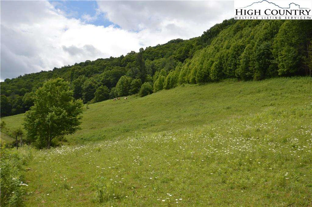 Image number 7 for the current listing