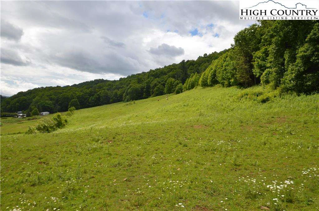 Image number 6 for the current listing