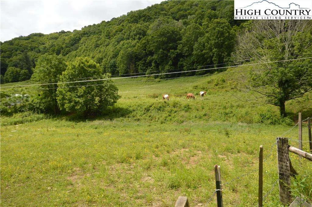Image number 4 for the current listing