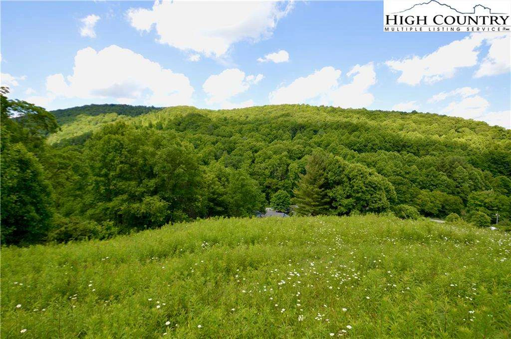 Image number 17 for the current listing