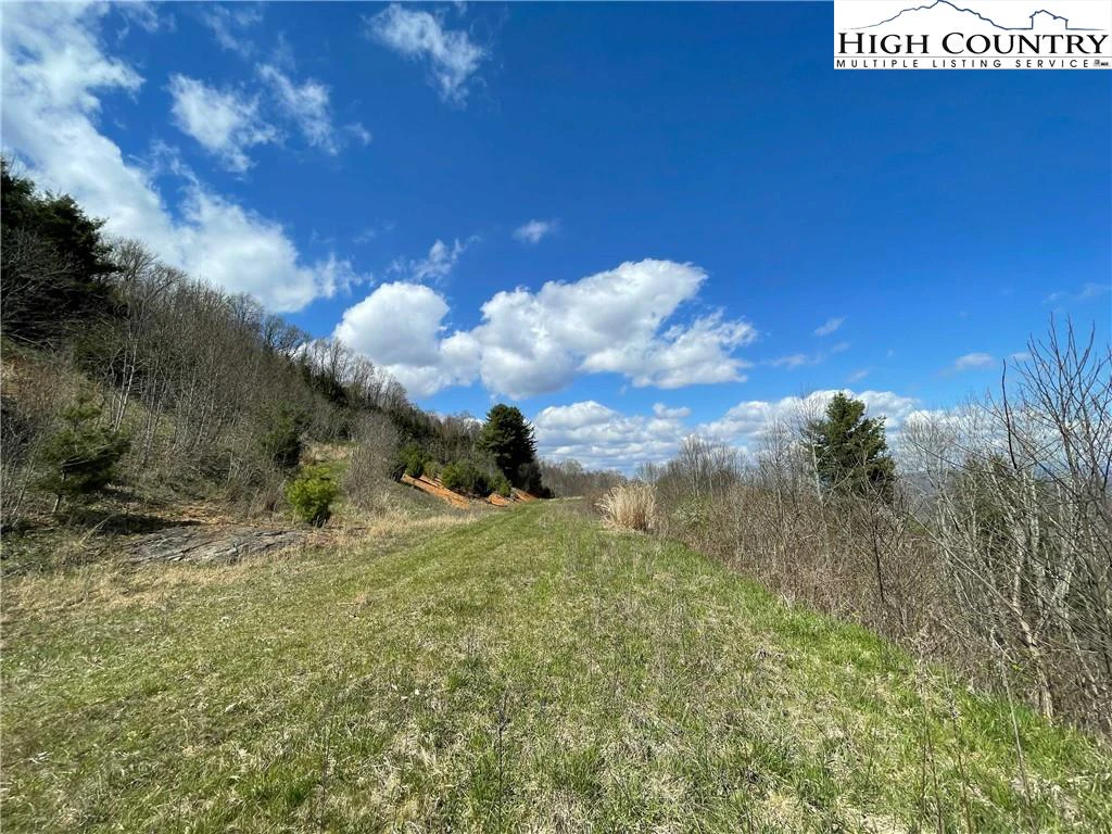 Image number 11 for the current listing