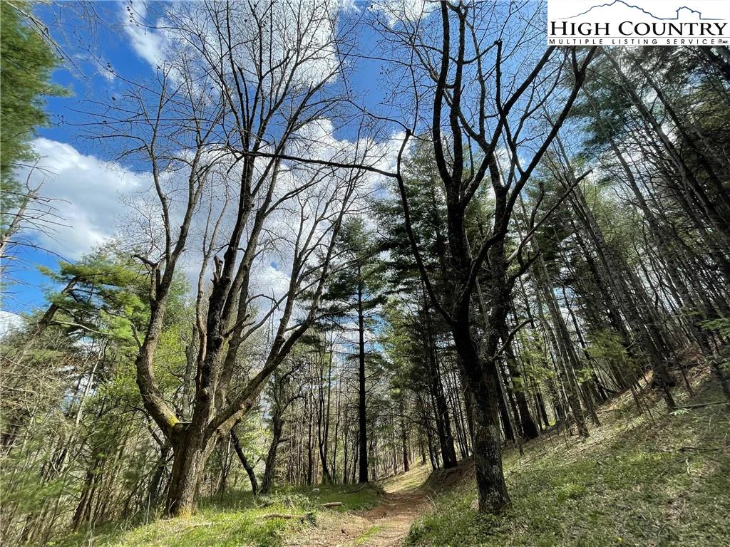 Image number 2 for the current listing