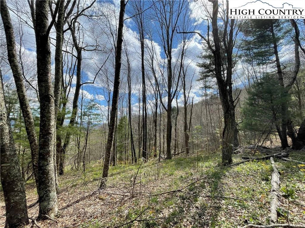 Image number 13 for the current listing
