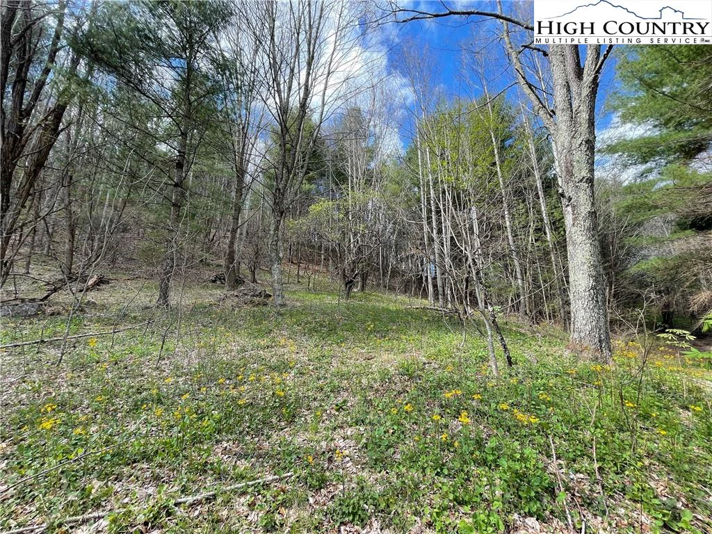 Image number 14 for the current listing