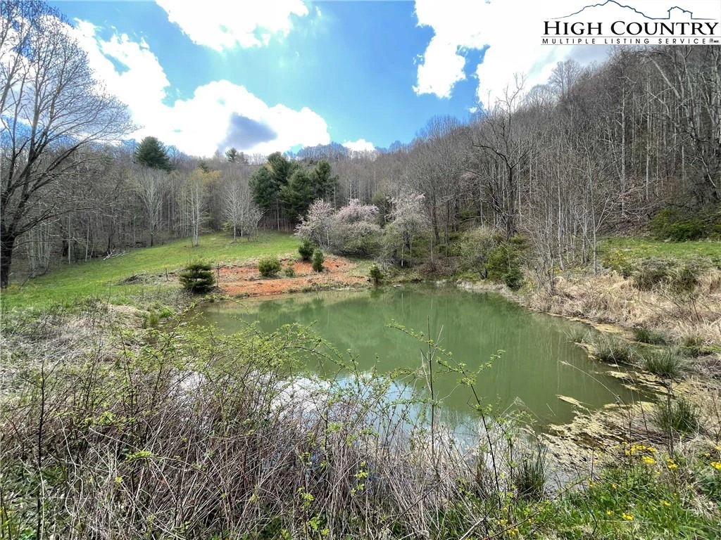 Image number 15 for the current listing