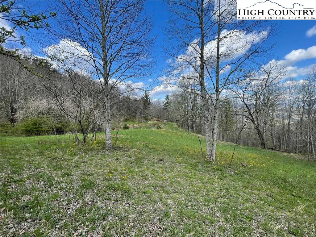 Image number 16 for the current listing