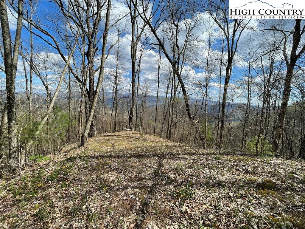 Image number 17 for the current listing