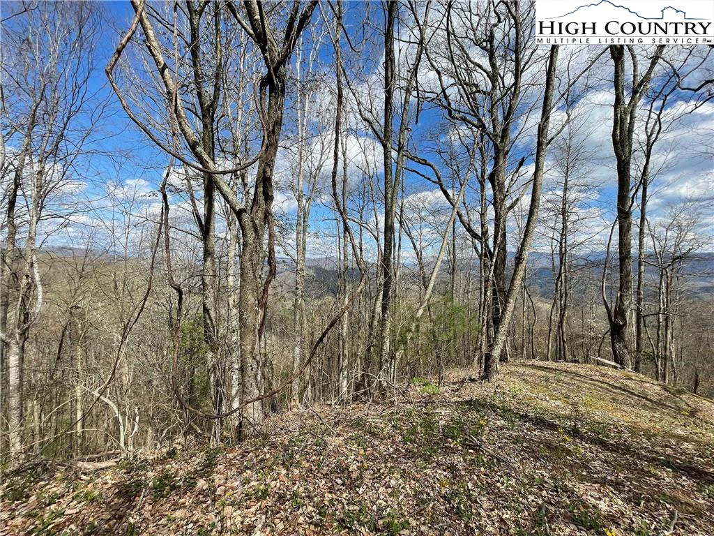Image number 18 for the current listing