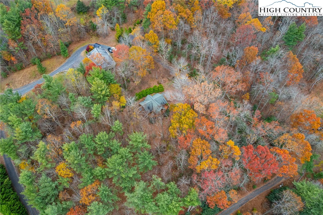 Image number 21 for the current listing