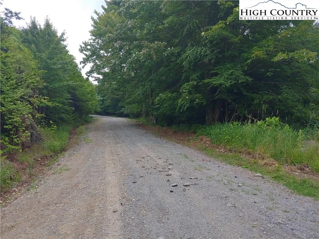 Image number 1 for the current listing