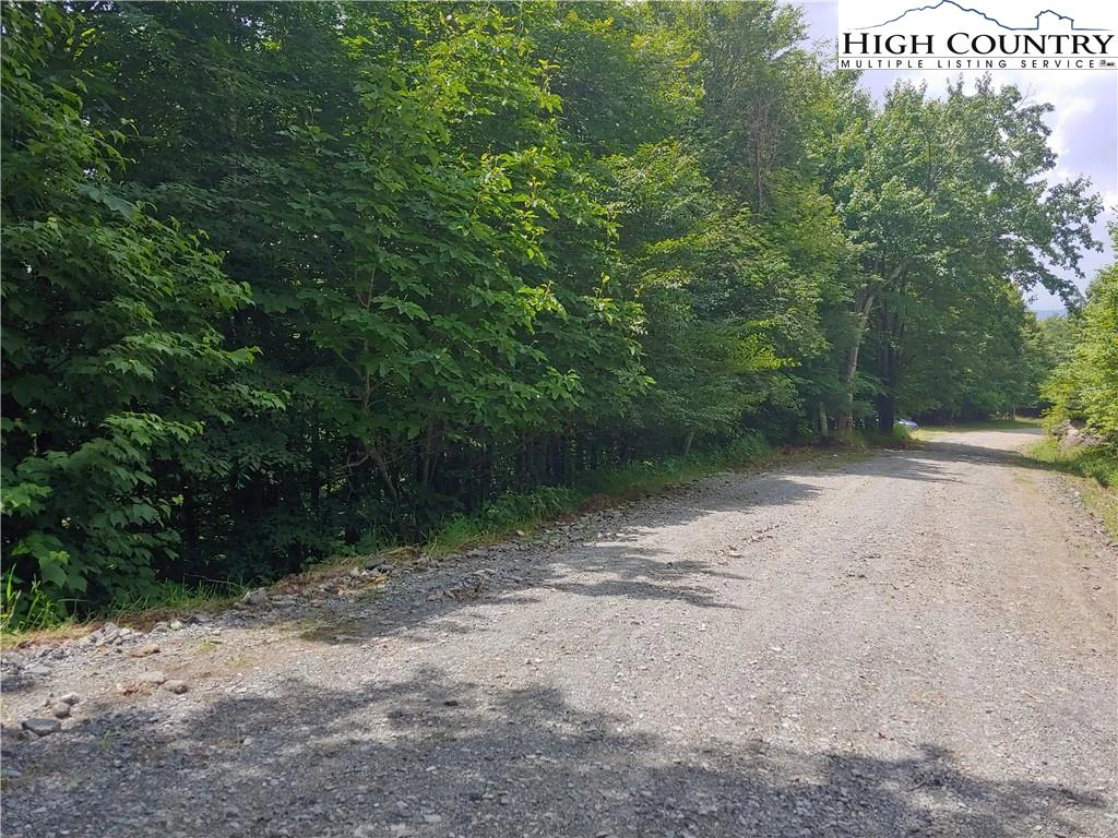Image number 3 for the current listing