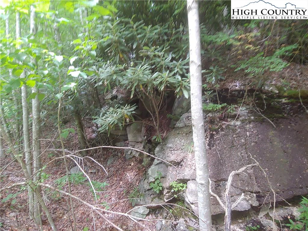 Image number 5 for the current listing