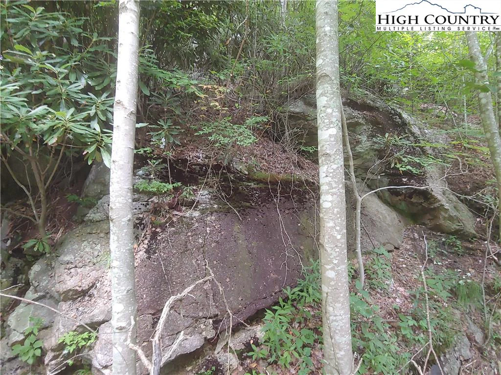 Image number 6 for the current listing