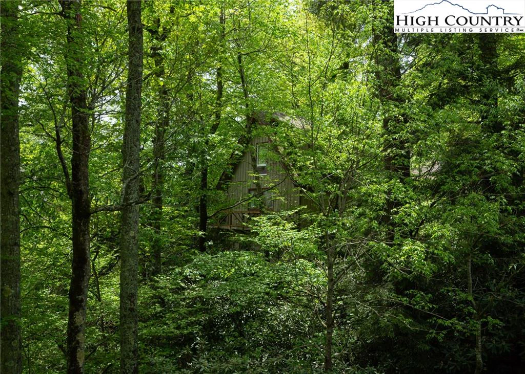 Image number 2 for the current listing