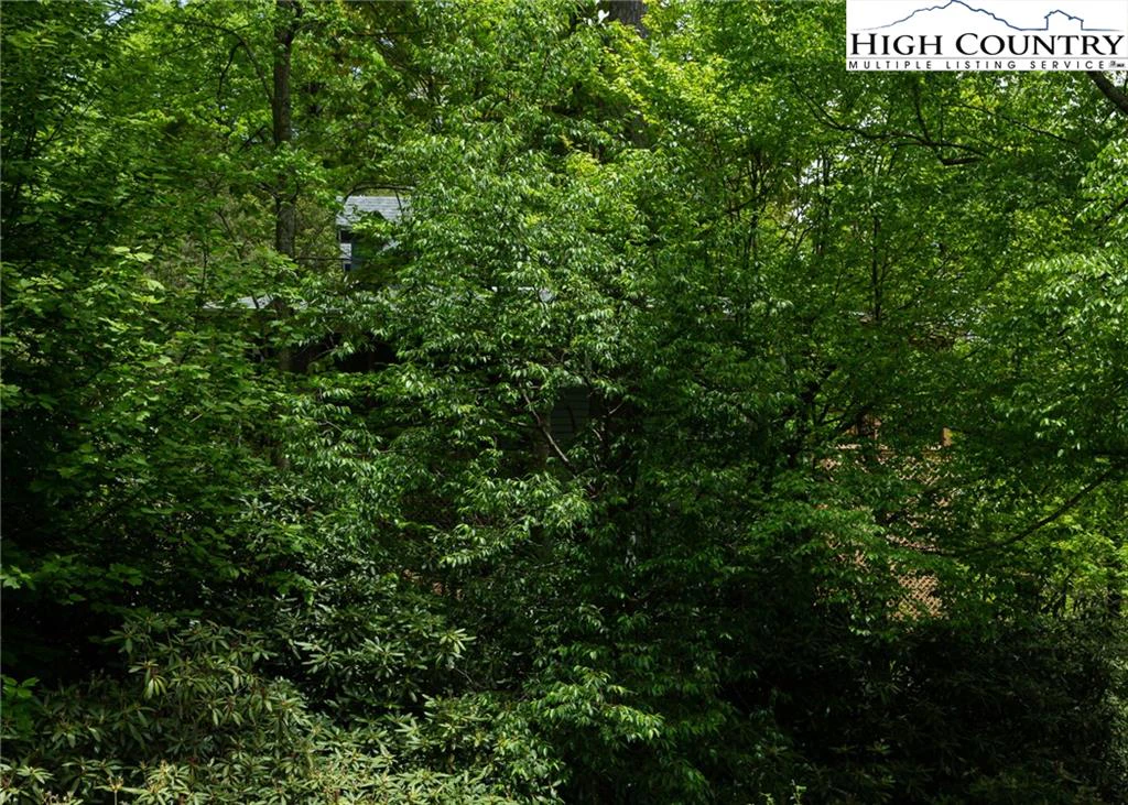 Image number 14 for the current listing