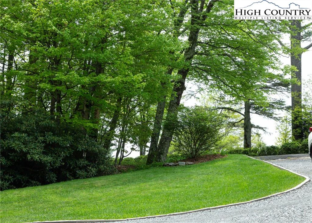 Image number 15 for the current listing