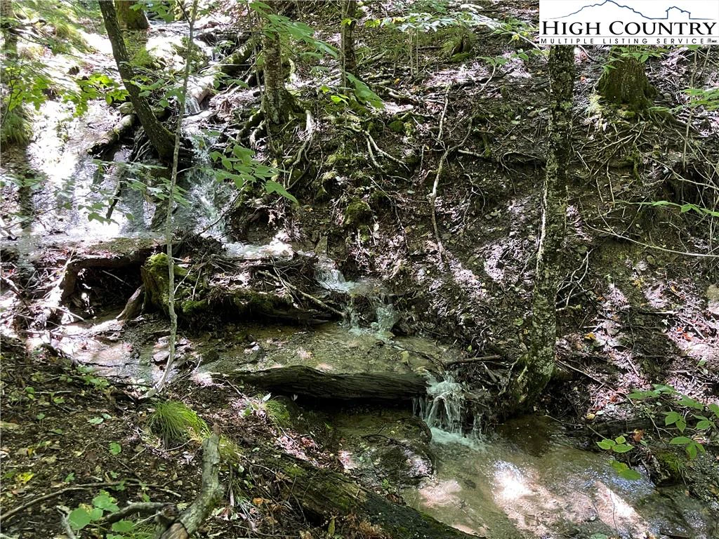Image number 1 for the current listing