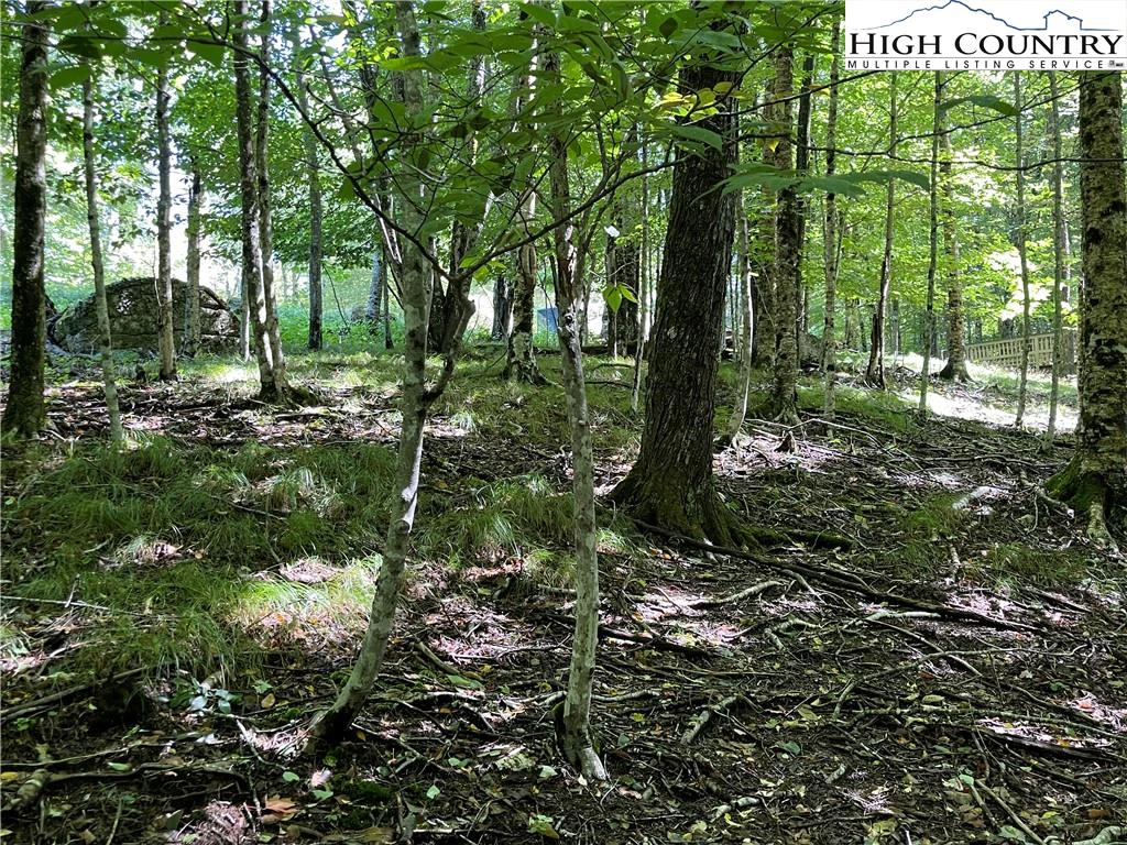 Image number 8 for the current listing