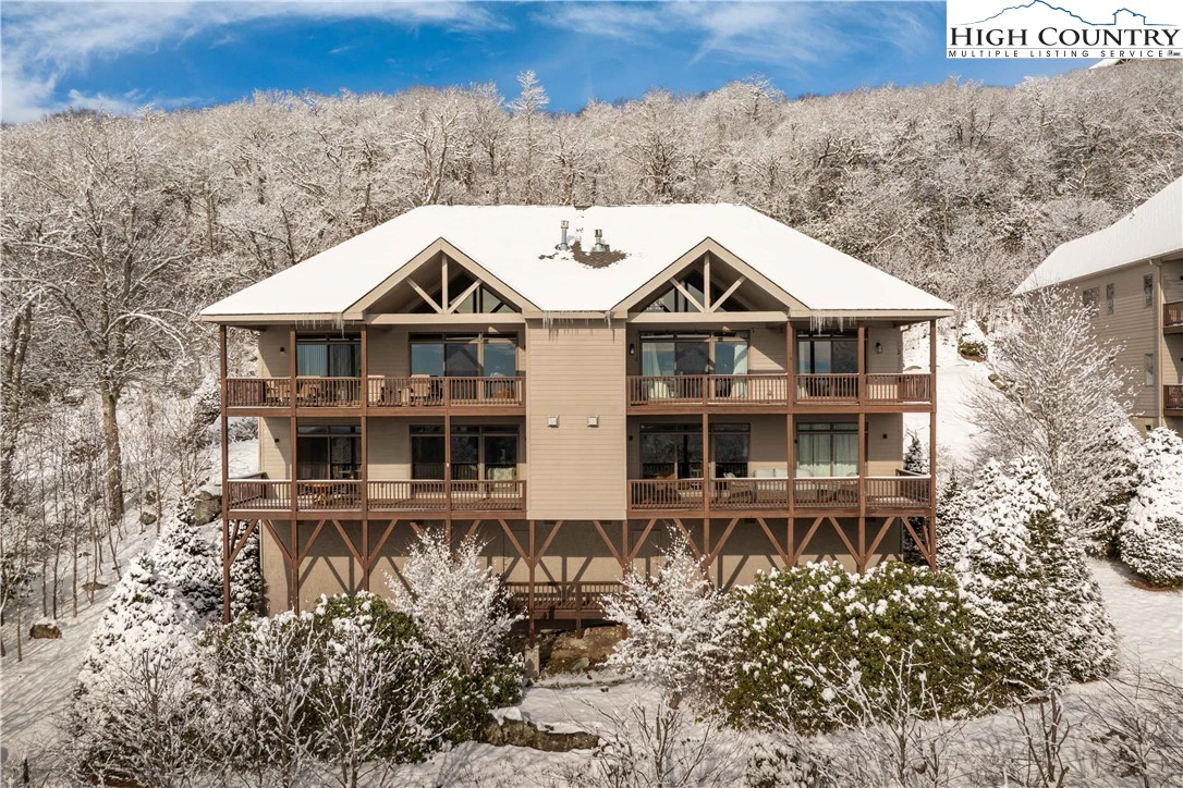Image number 1 for the current listing