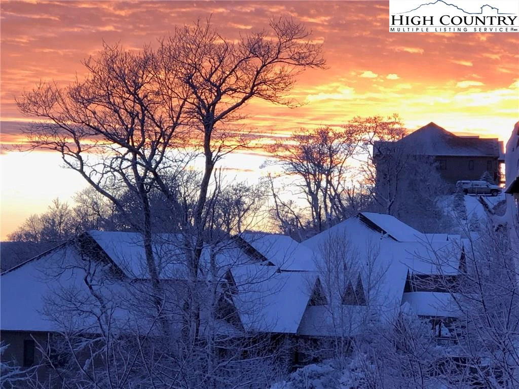 Image number 4 for the current listing