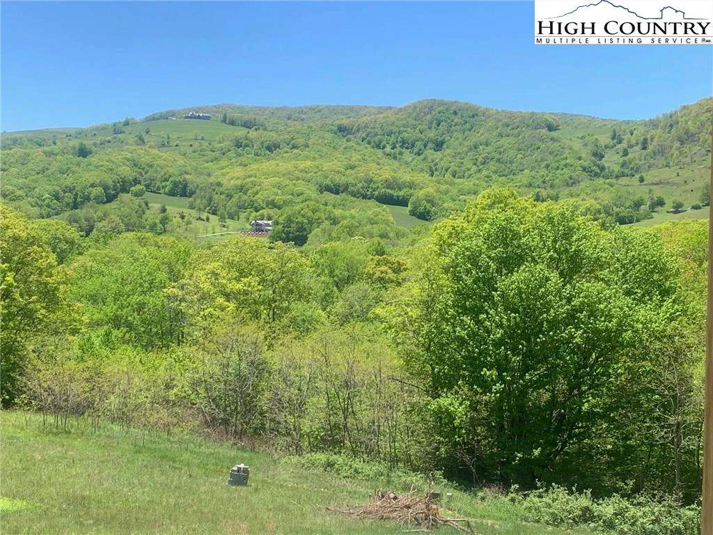 Image number 21 for the current listing
