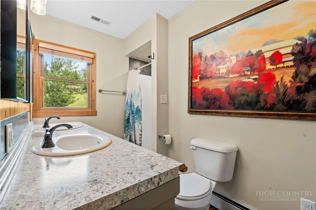 Image number 17 for the current listing