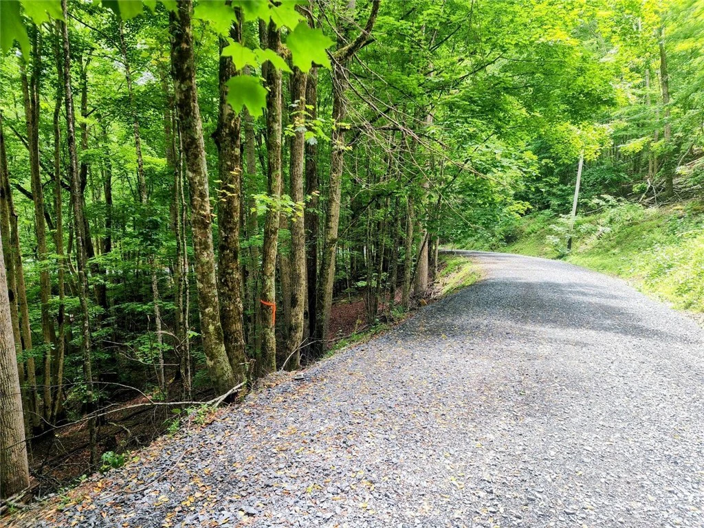 Image number 1 for the current listing