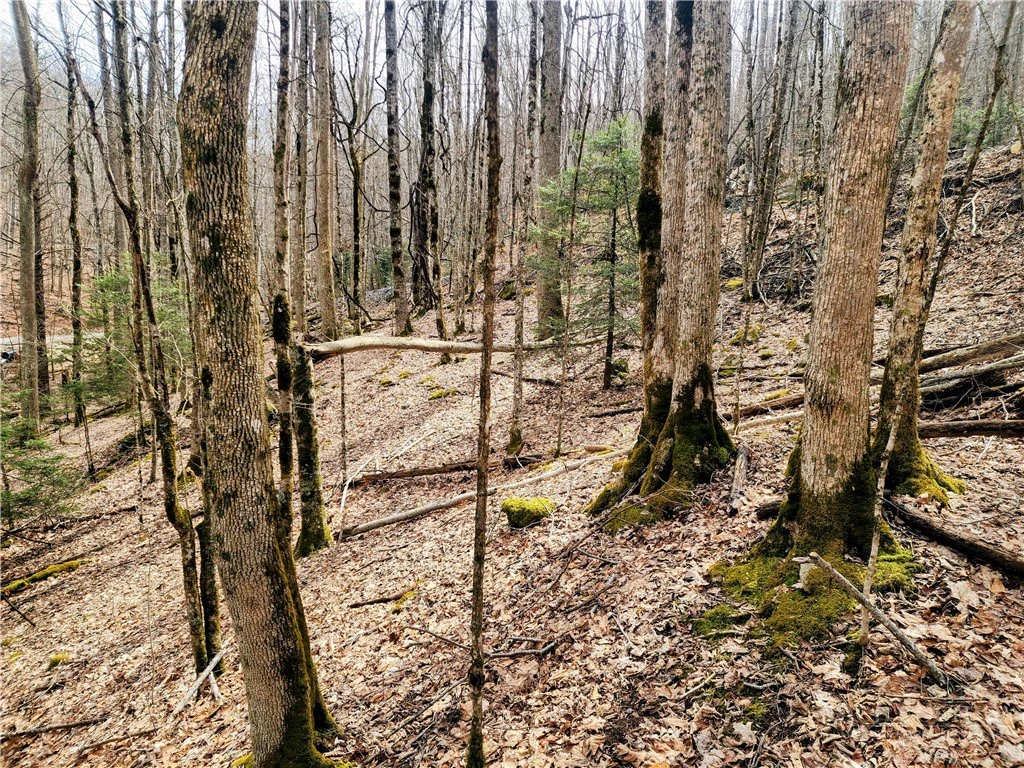 Image number 3 for the current listing