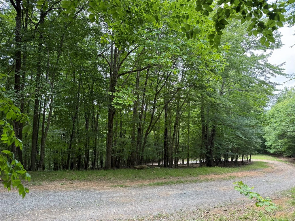 Image number 6 for the current listing