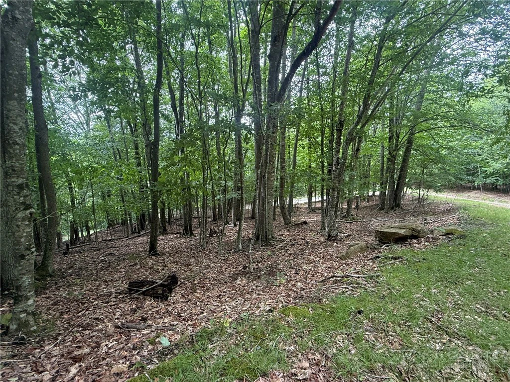 Image number 2 for the current listing