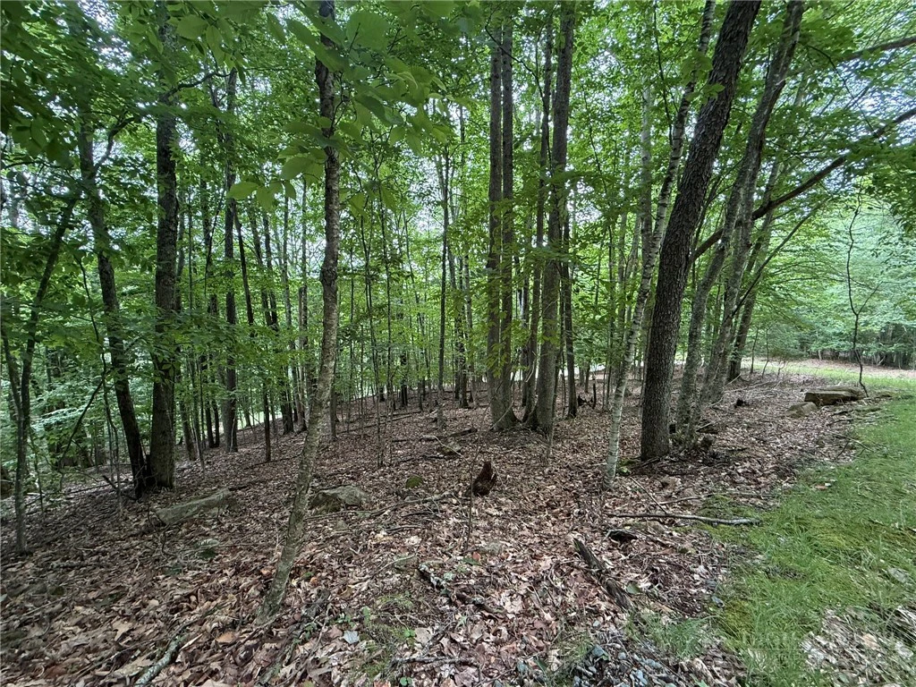 Image number 3 for the current listing
