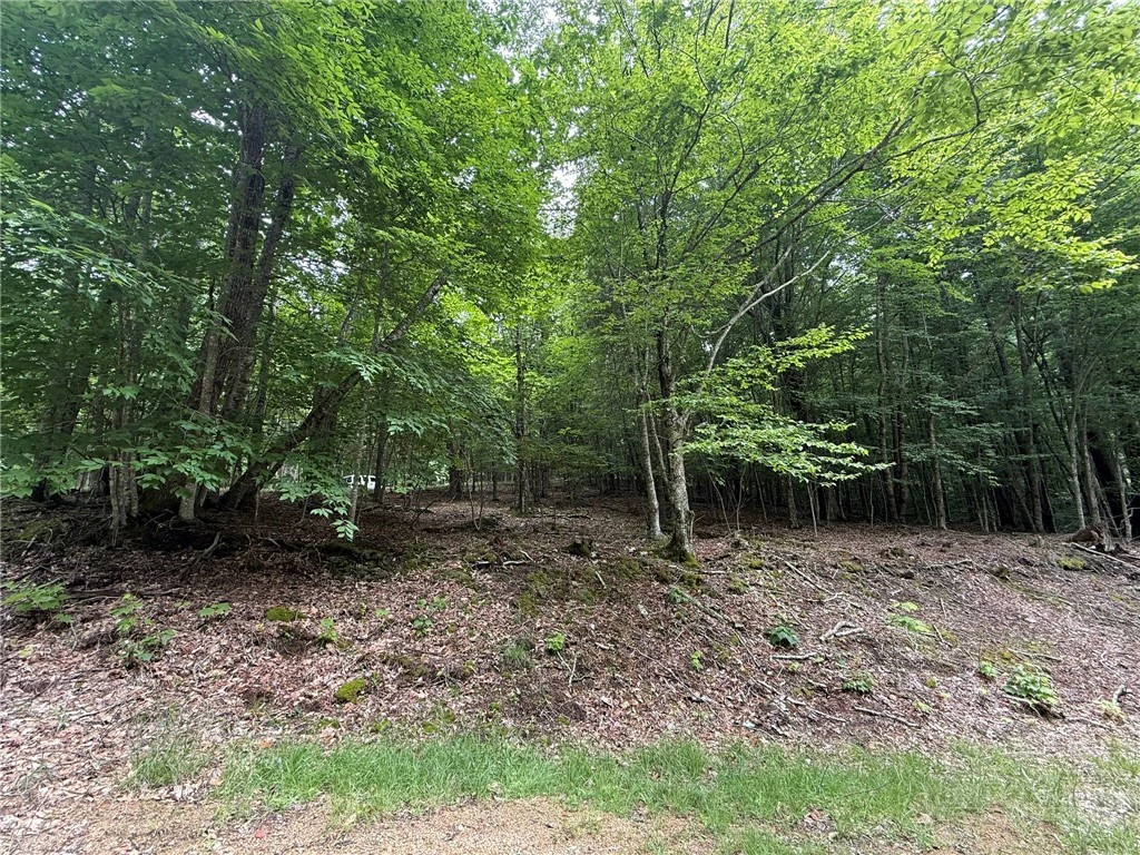 Image number 5 for the current listing