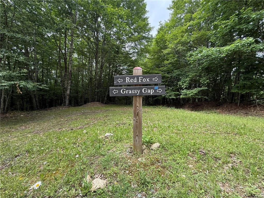 Image number 7 for the current listing