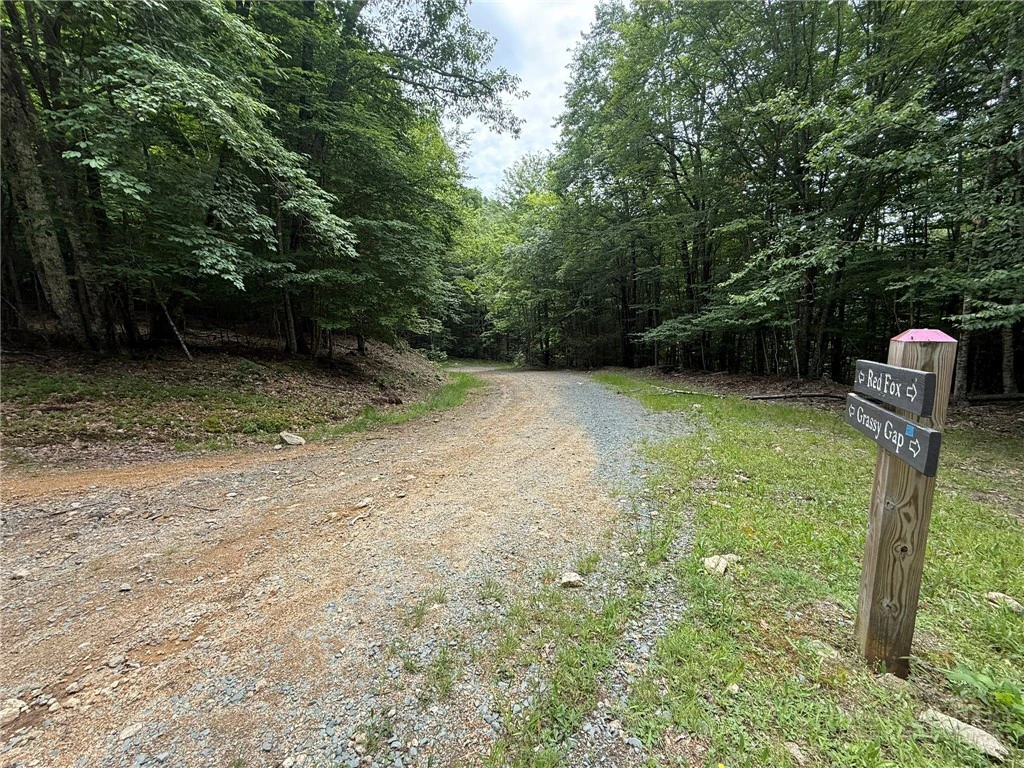 Image number 4 for the current listing