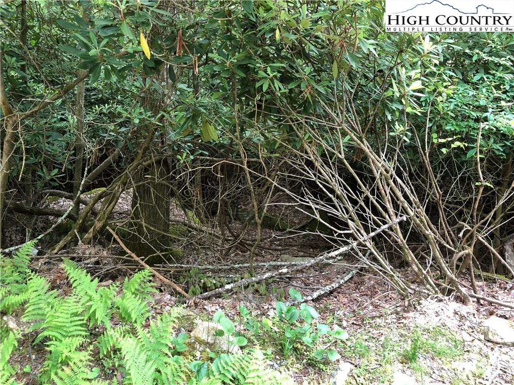 Image number 1 for the current listing
