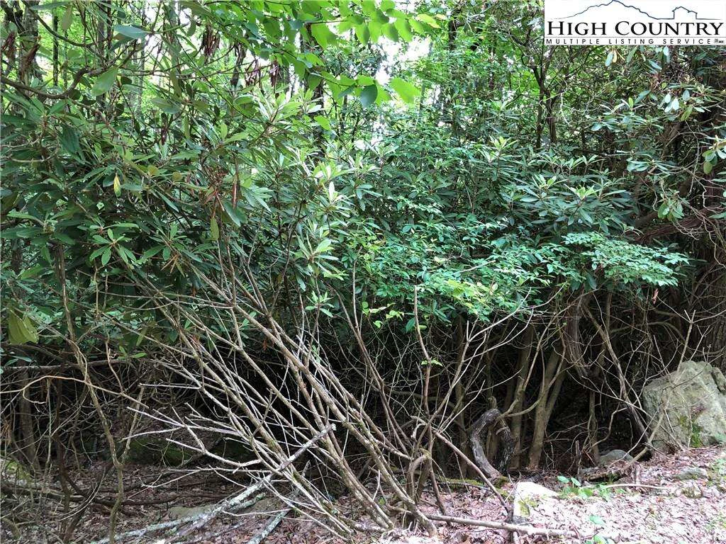 Image number 3 for the current listing