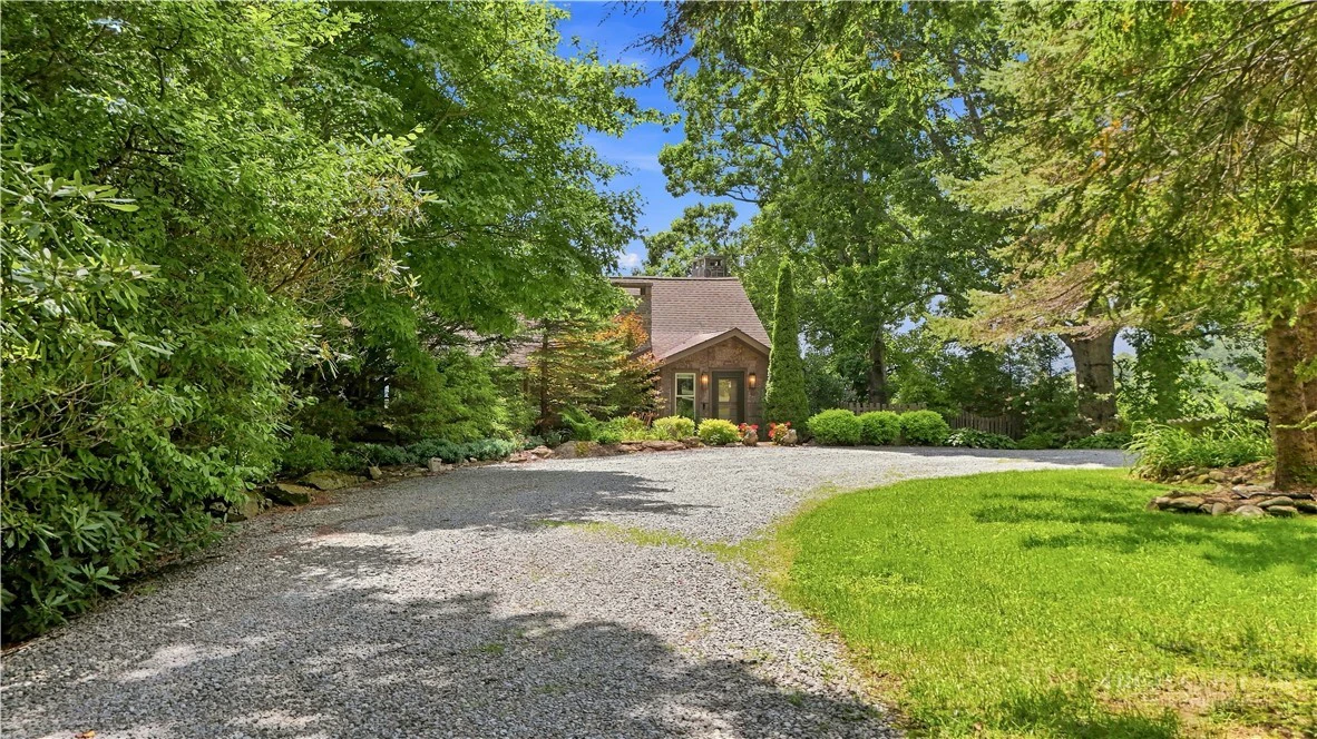 Image number 5 for the current listing