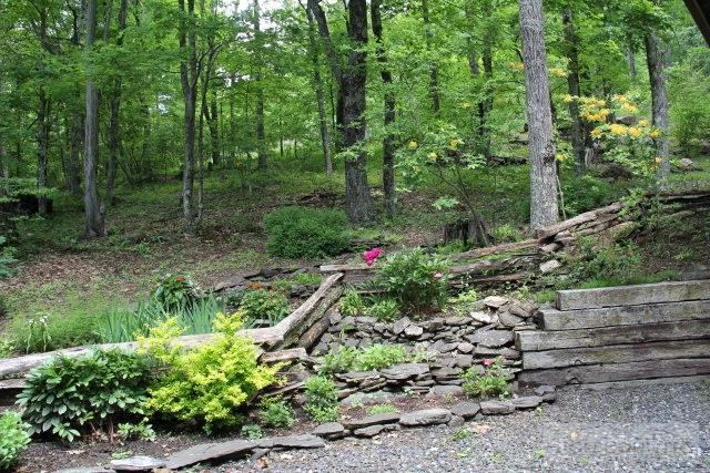 Image number 11 for the current listing