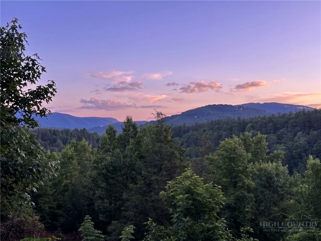 Image number 3 for the current listing