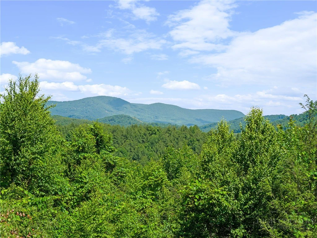 Image number 13 for the current listing